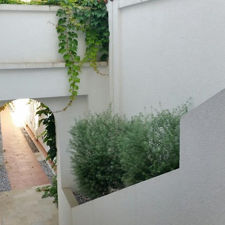 Villa Olivia Kotor Exteriör bild