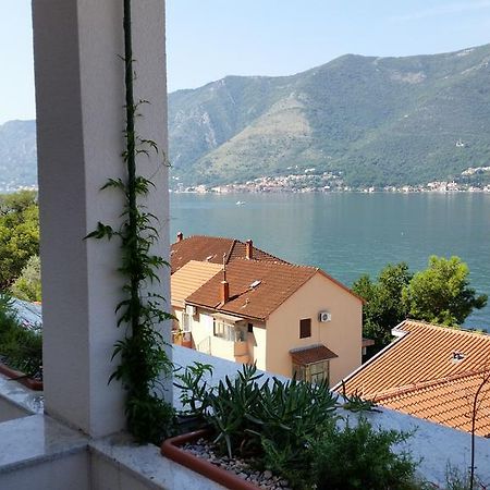 Villa Olivia Kotor Exteriör bild